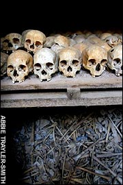 Skulls and bones