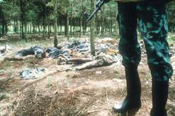 Bodies in woods following Rwanda genocide