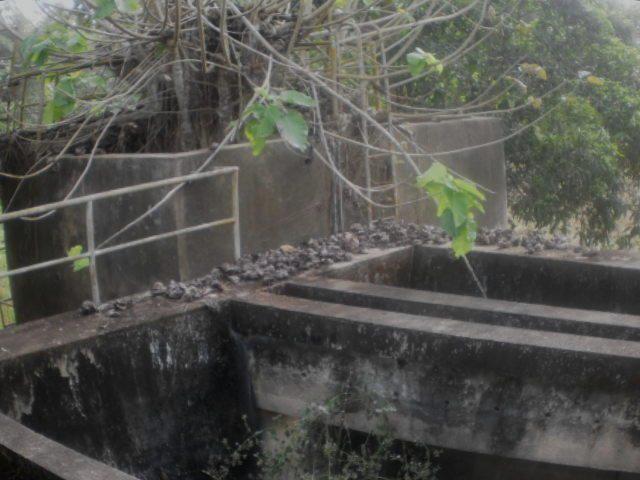 Defunct Water Treatment Plant - Kenema